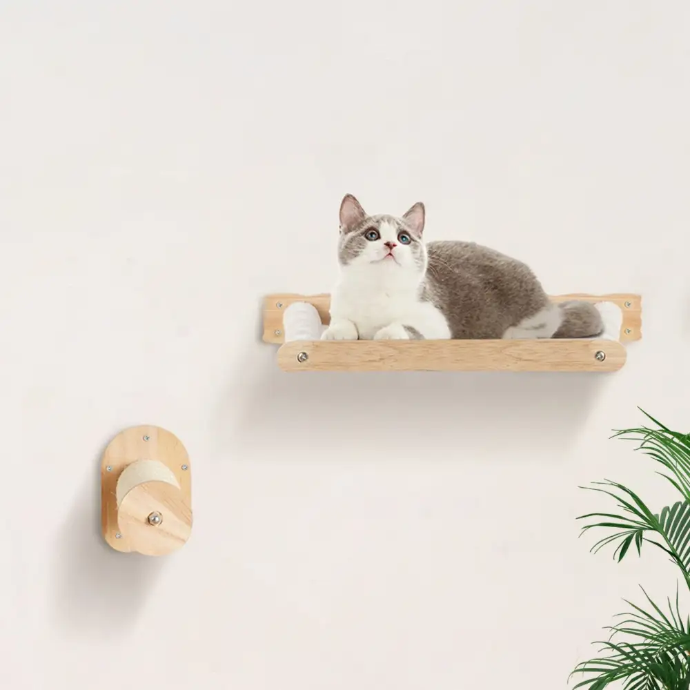 Wall Mounted Cat Shelves Everyday