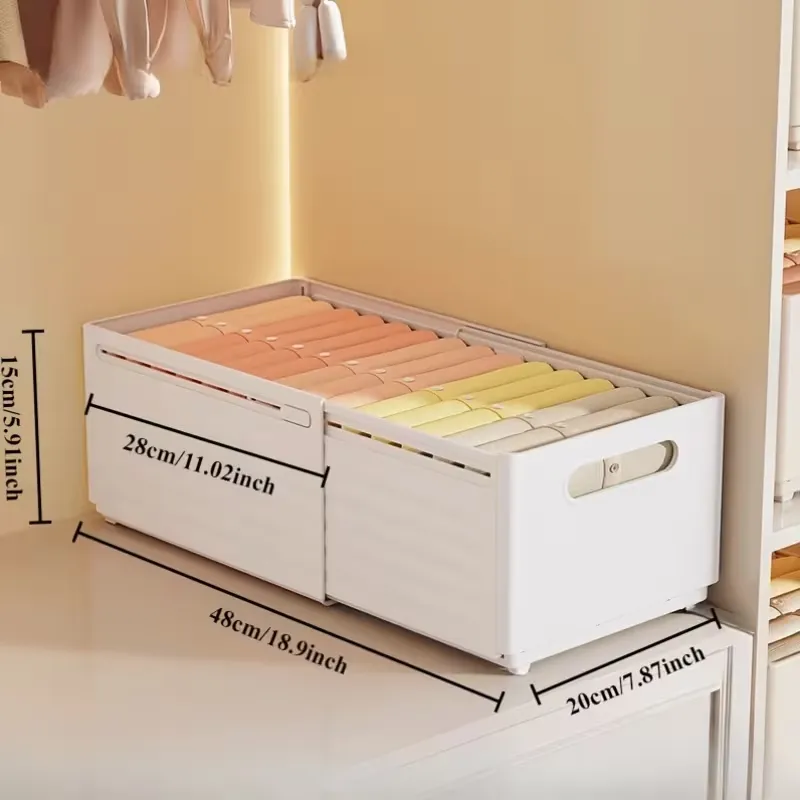 Closet Organizer Storage Box