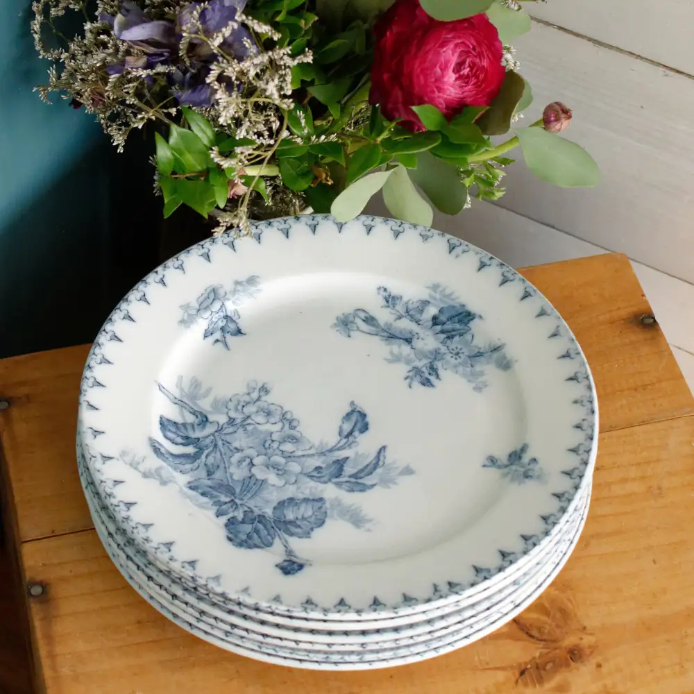 Curated Transferware Dinner Plate