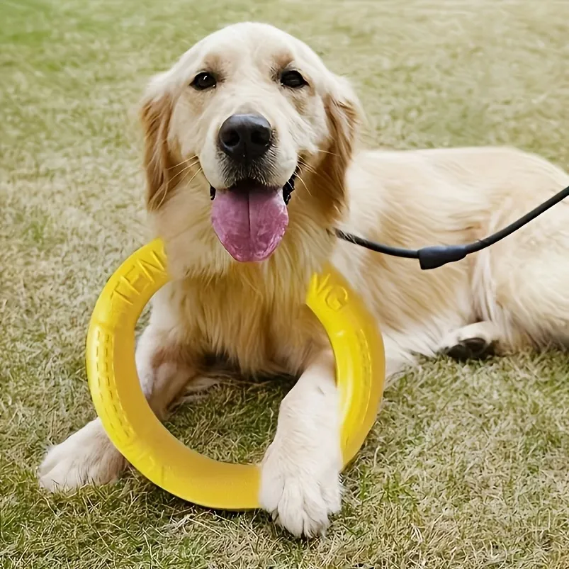Dog Tension Ring Chew Toy