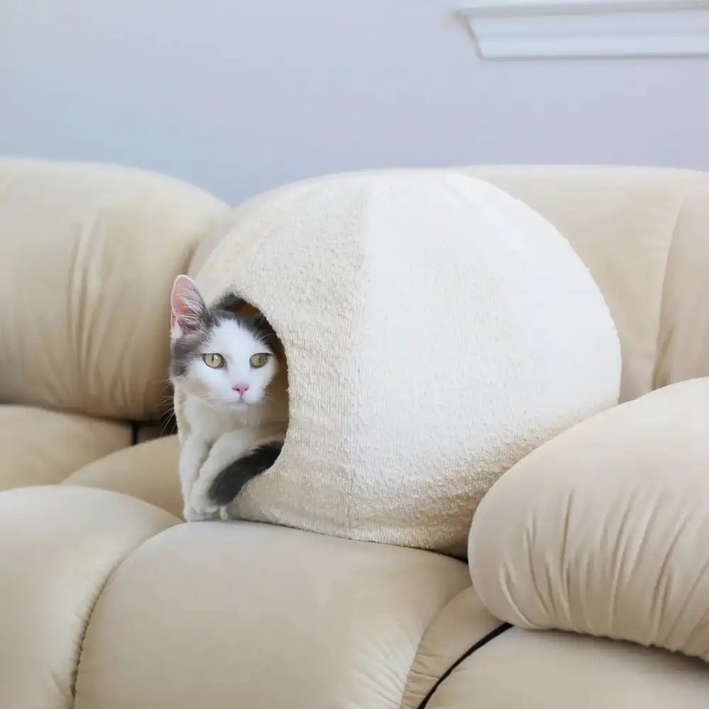 Balanced Minimal Pet Cave Bed