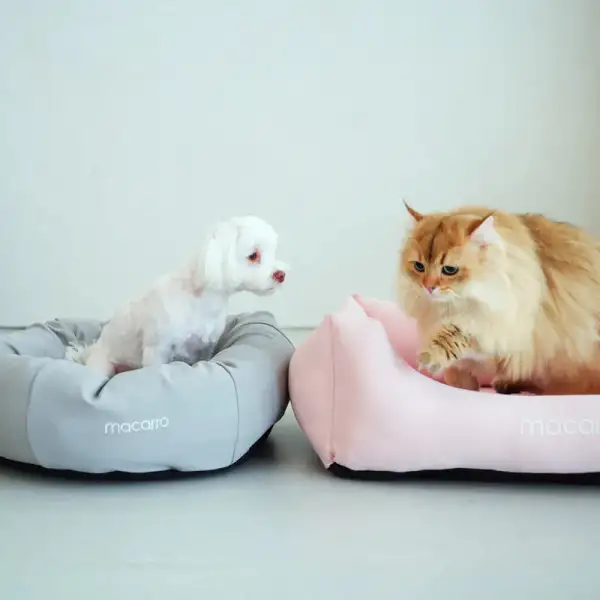 Round Cooling Pet Lounge Bed