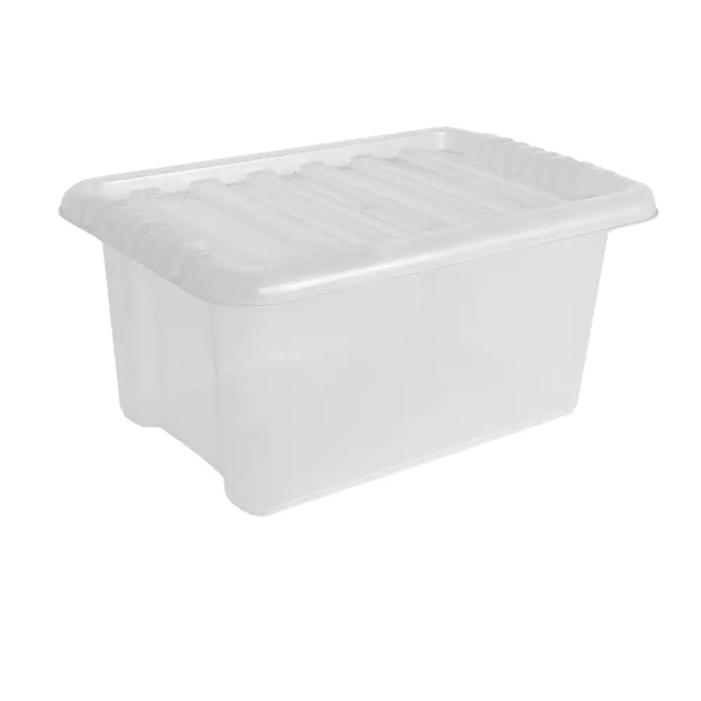 Medium Clear Lid Storage Box