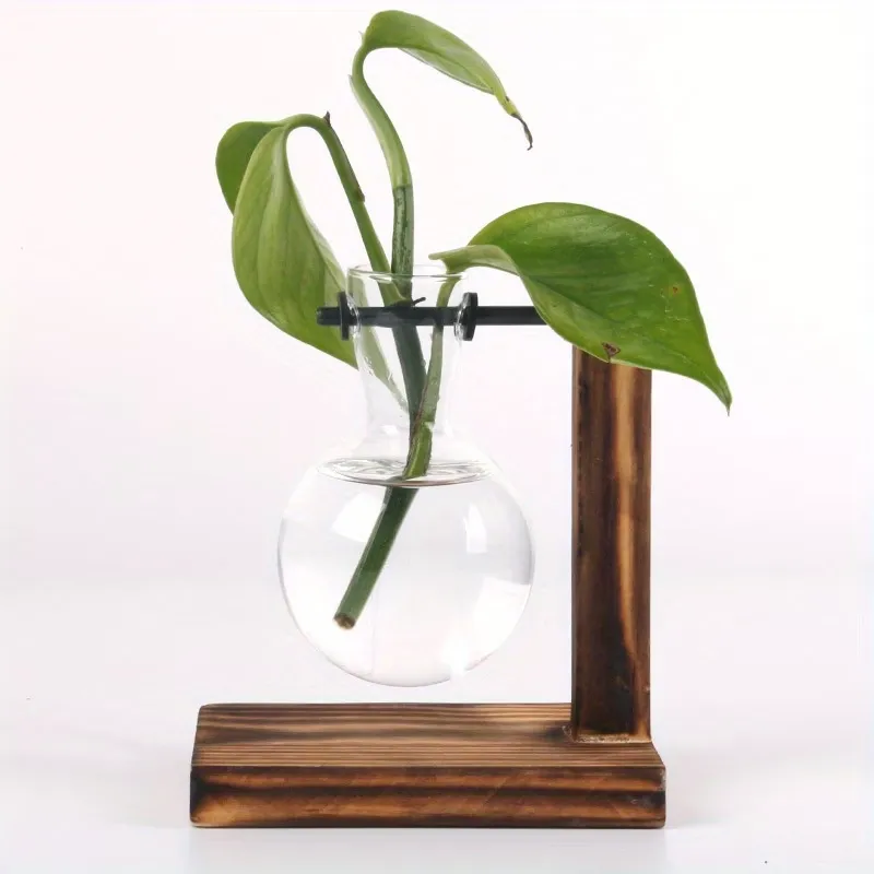 Glass Test Tube Planters