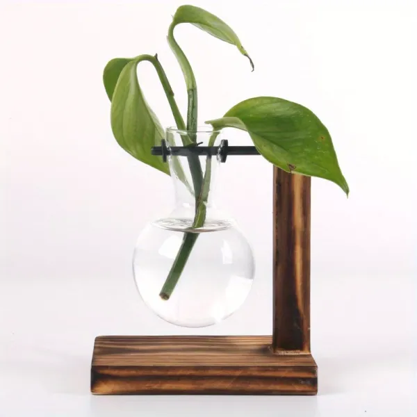 Glass Test Tube Planters
