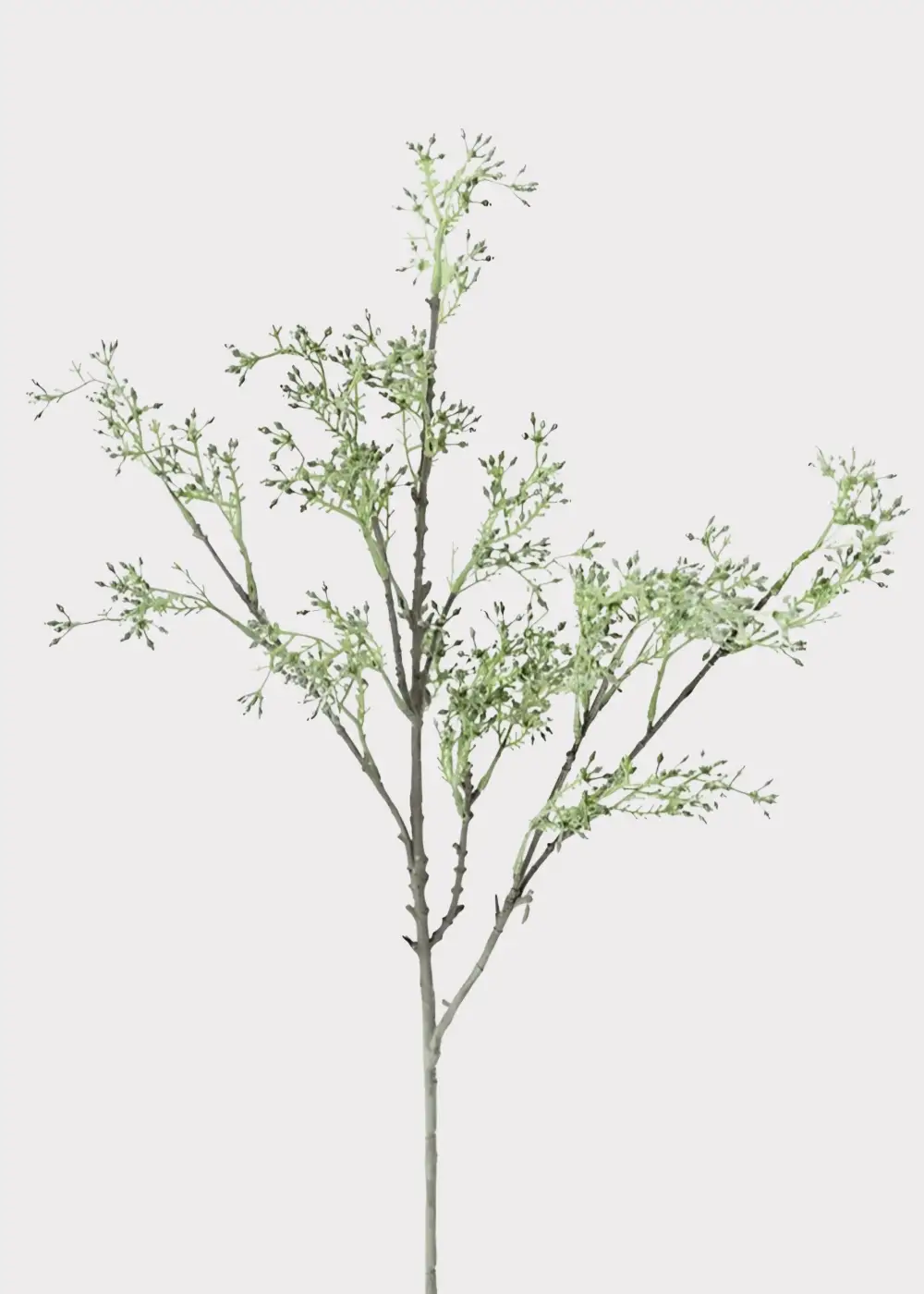 Artificial Seeded Eucalyptus Stem