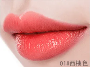 Practical Lip Stick Set Option G