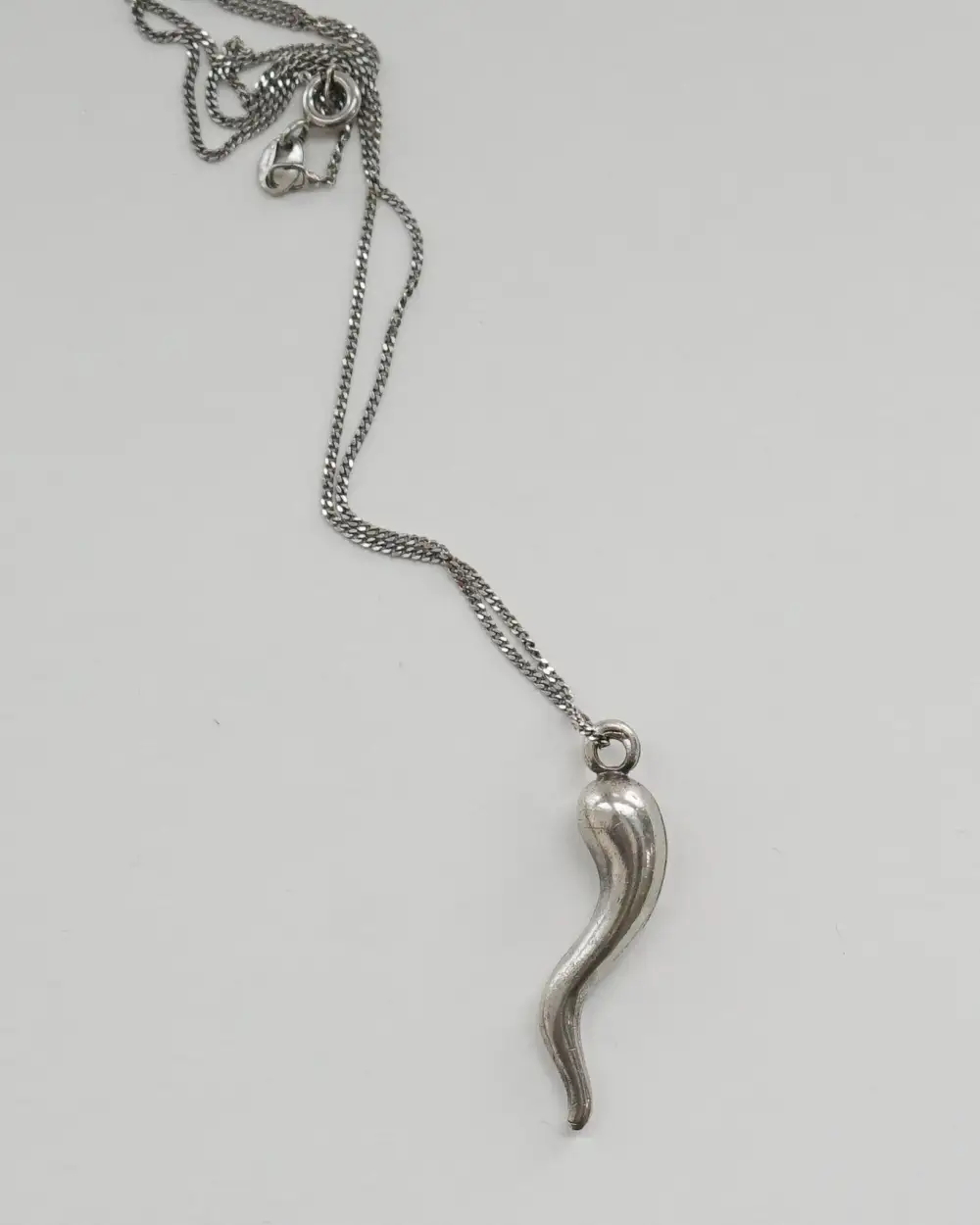 Minimal Chain Necklace with Horn Charm