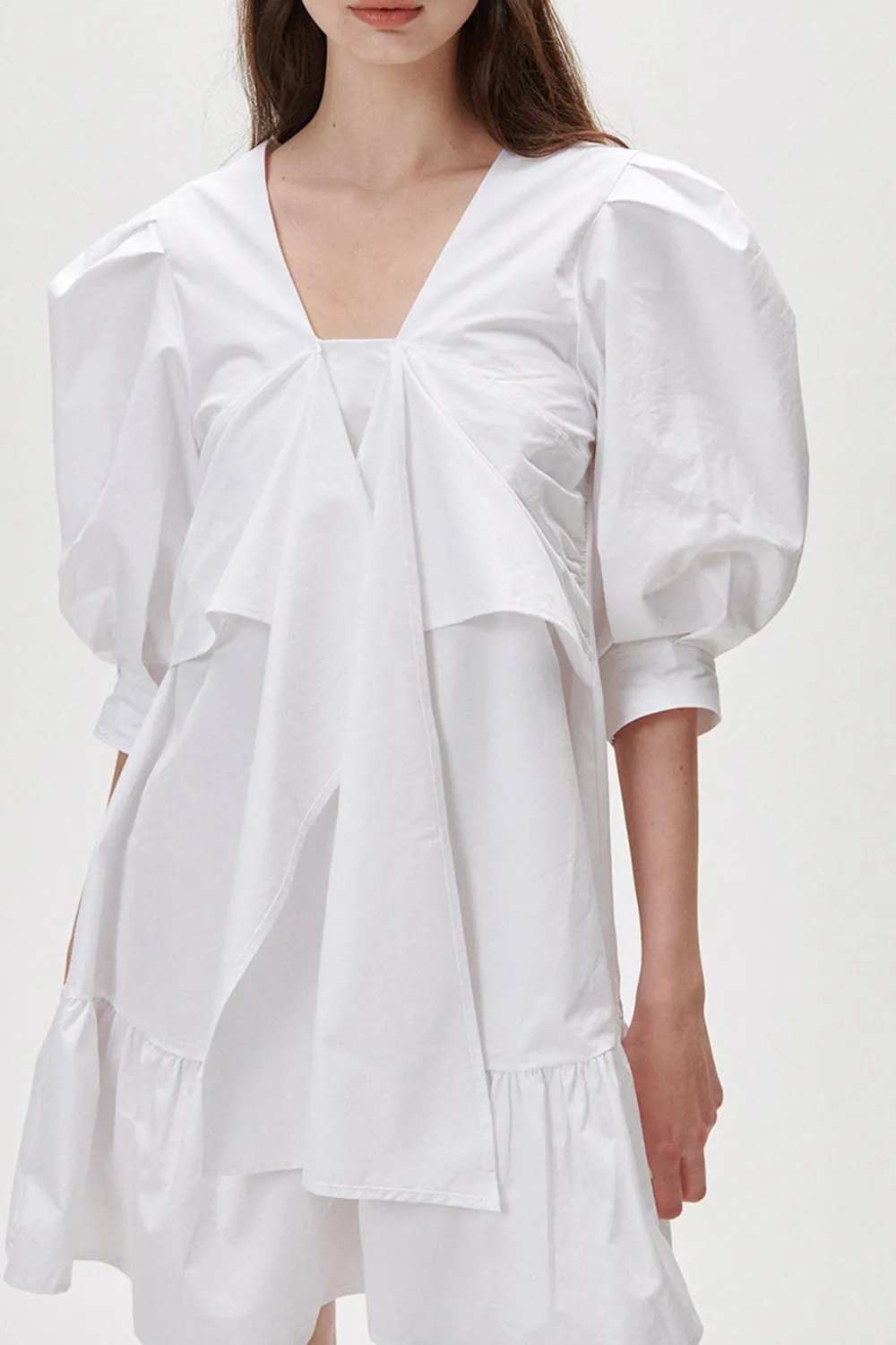 Puff Sleeve Mini Dress