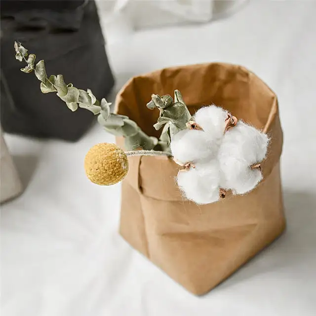 Washable Kraft Storage Bag