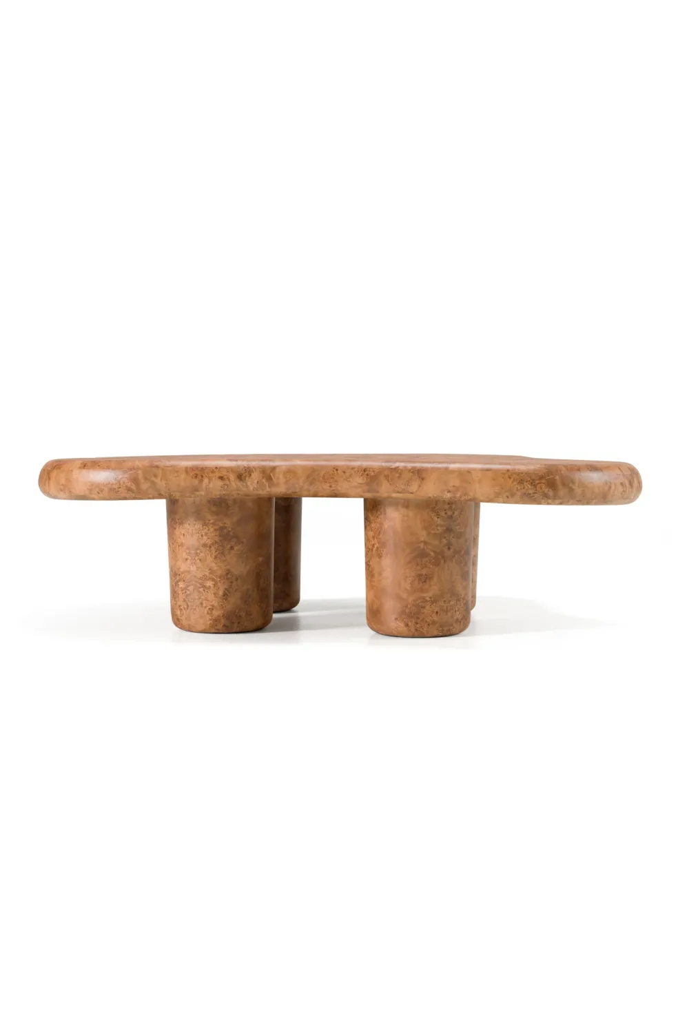 Burl Wood Freeform Coffee Table