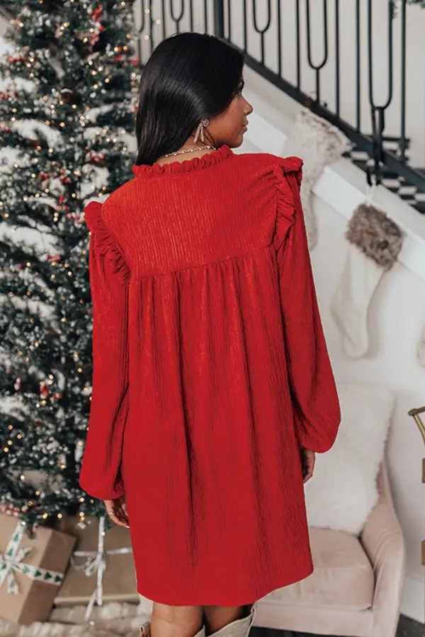 Textured Ruffle Trim V-Neck Mini Dress