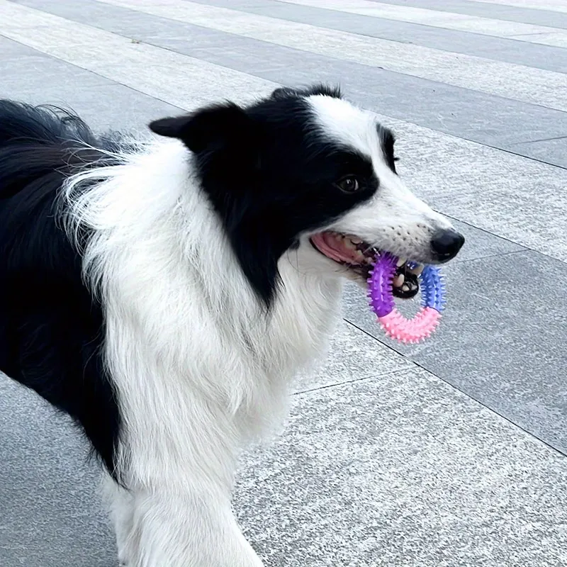 Pet Molar Spike Chew Toy