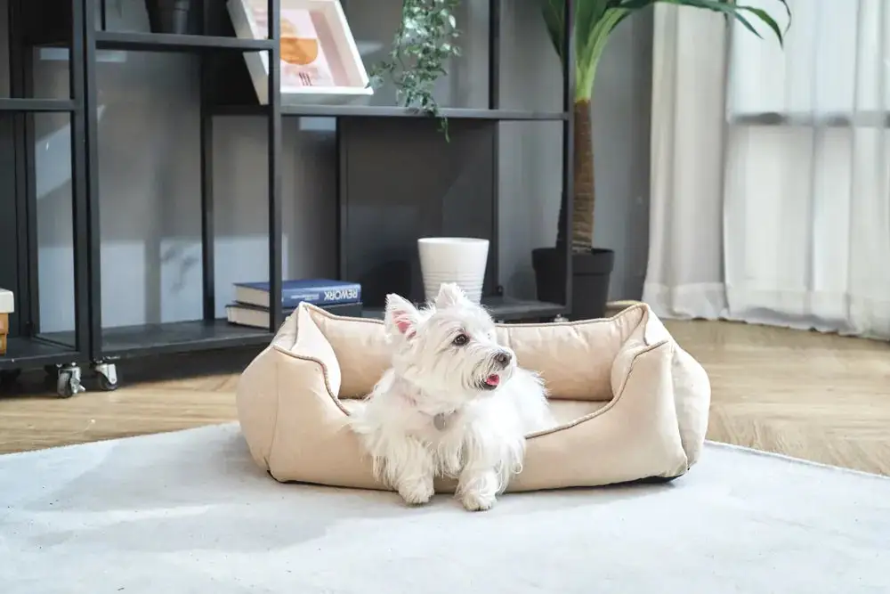 Soft Touch Pet Resting Bed