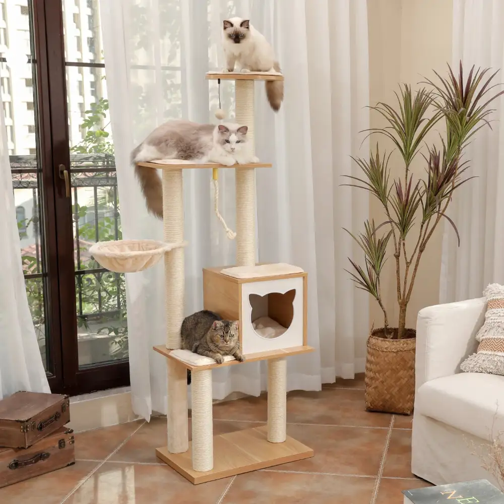 Comfortable Cat Climbing Tree