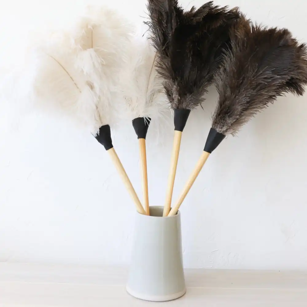 Feather Duster Home Utility