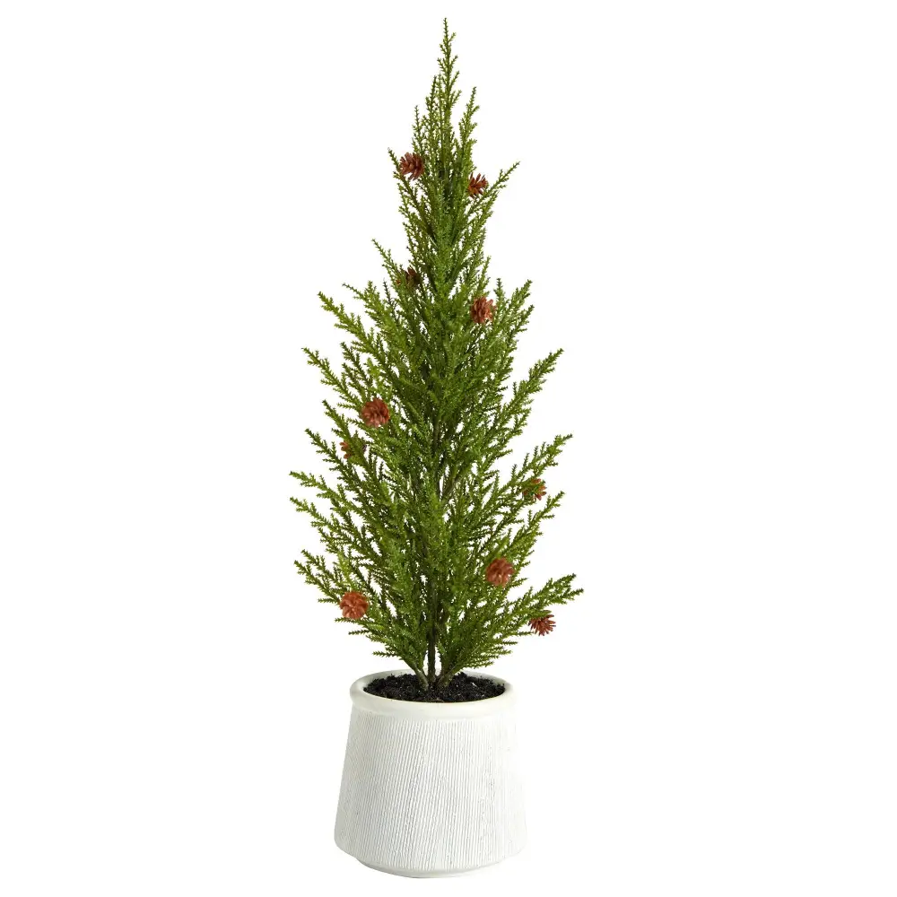 Cedar Pine 