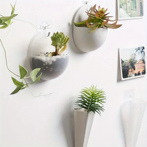 Wall-Mounted Succulent Planter