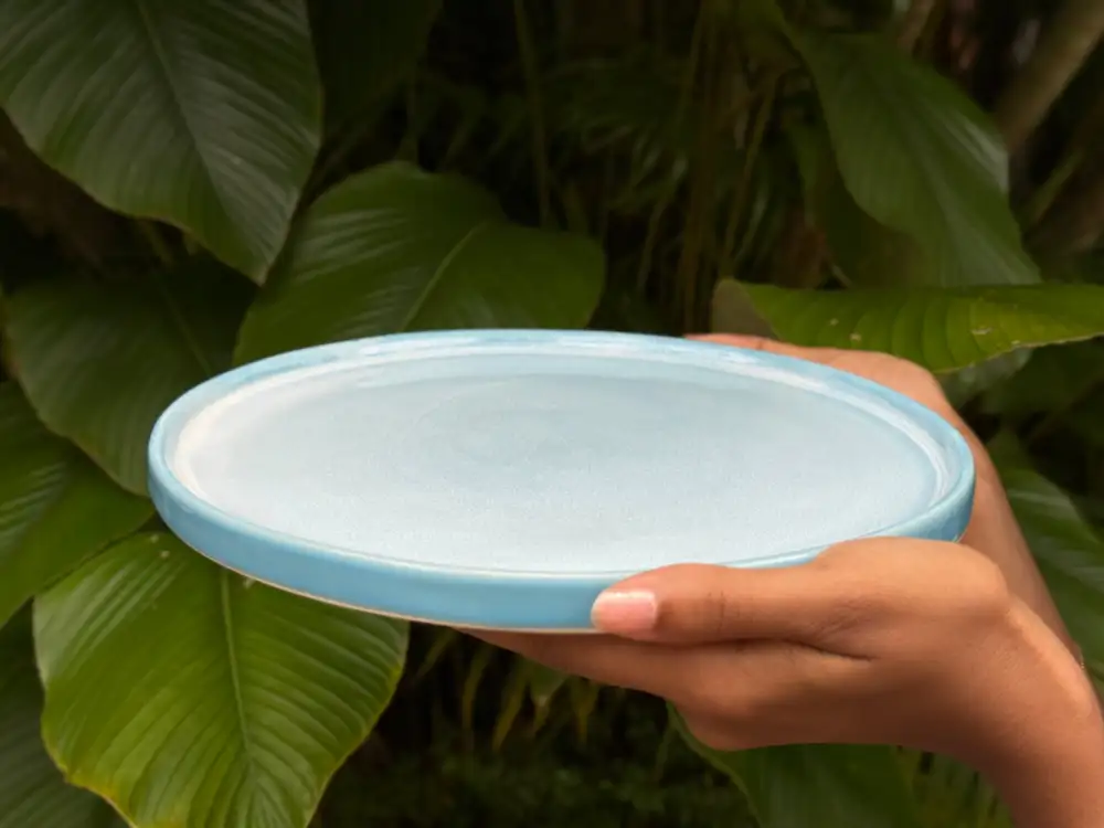Raised Edge Sharing Dinner Plate