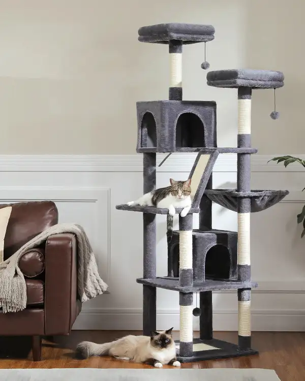 A Six-Story Cat Tree With Multiple Hiding Places