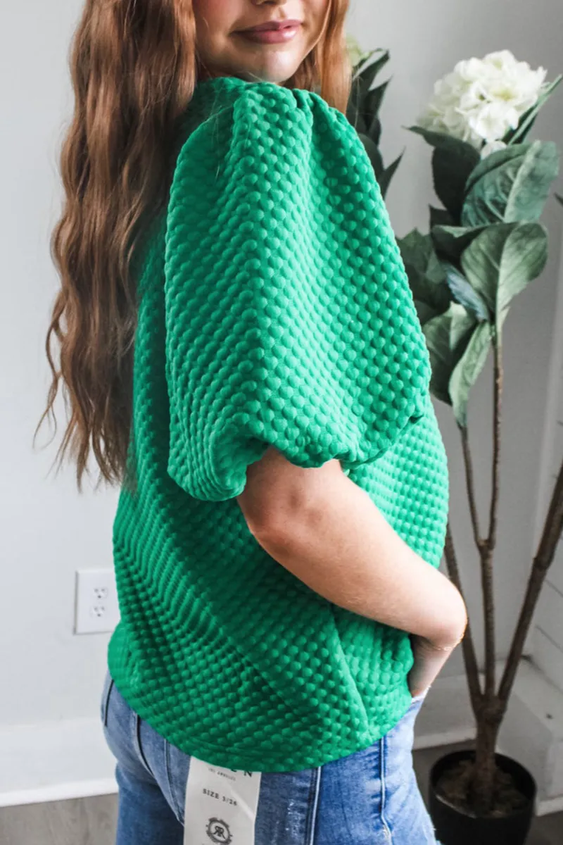 Textured Crew Neck Puff Sleeve Blouse