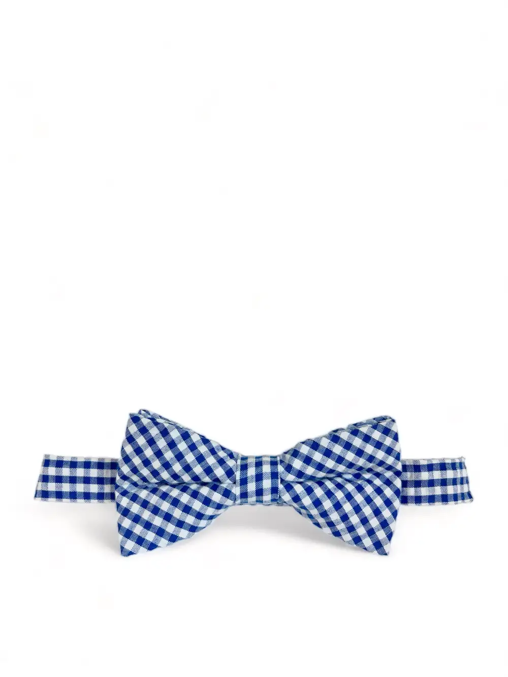 Cultivated Gingham Cotton Bow Tie