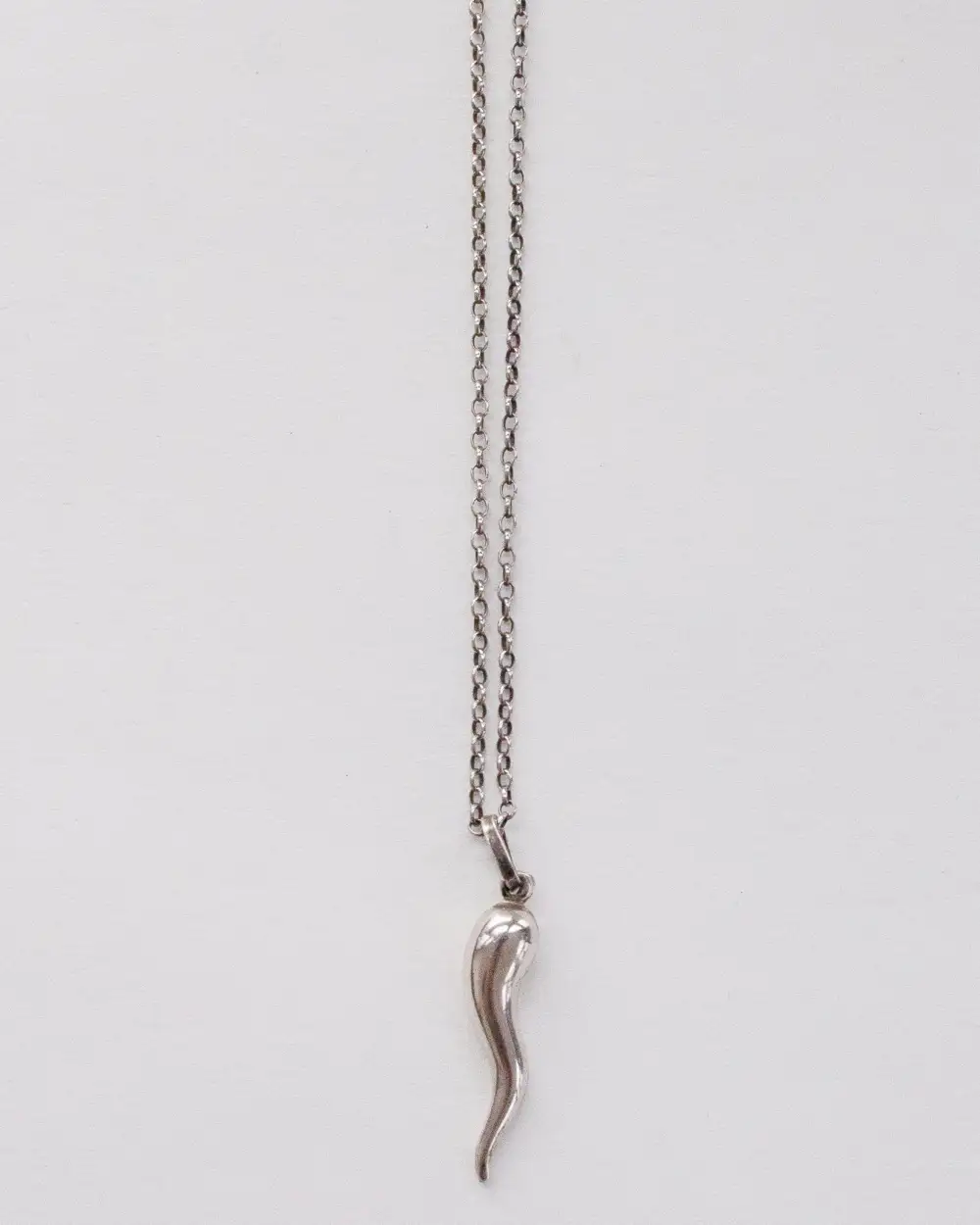 Timeless Chain Necklace with Horn Charm