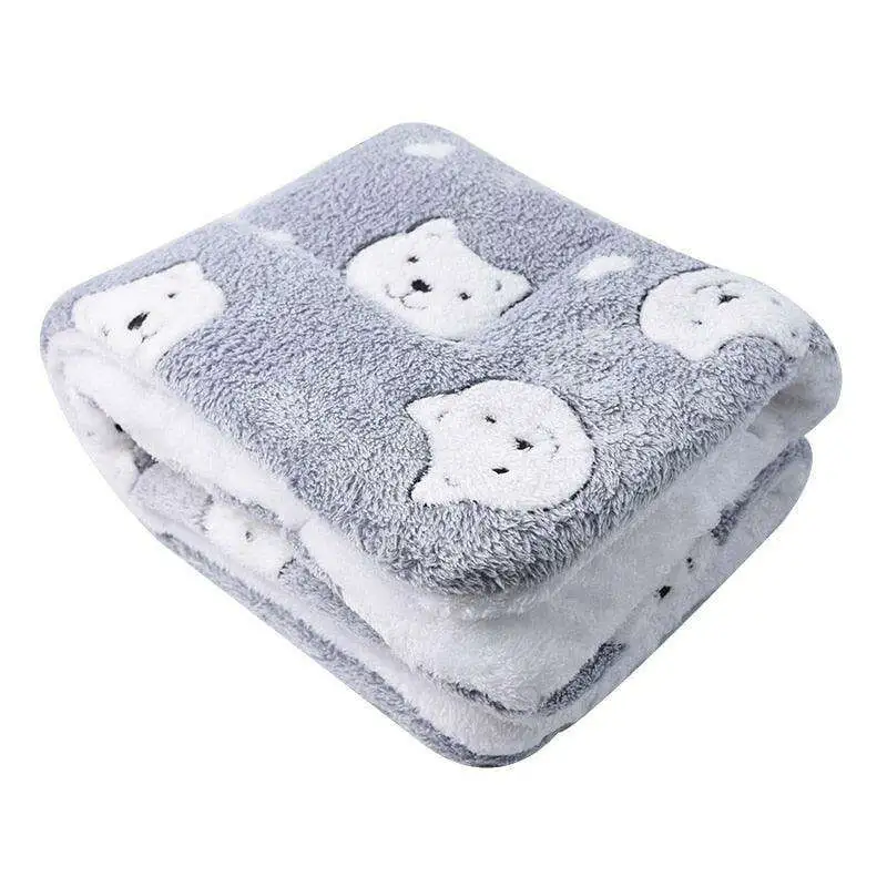 Plush Velvet Pet Blanket