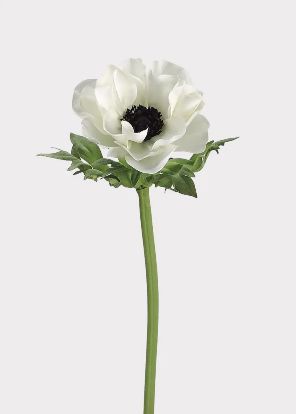 Artificial Anemone Floral Stem