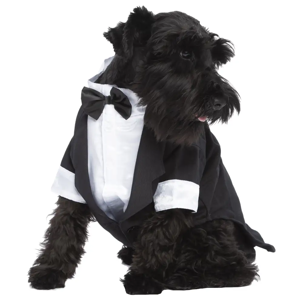 Bow Tie Square Versatile Compact Dog Shirt