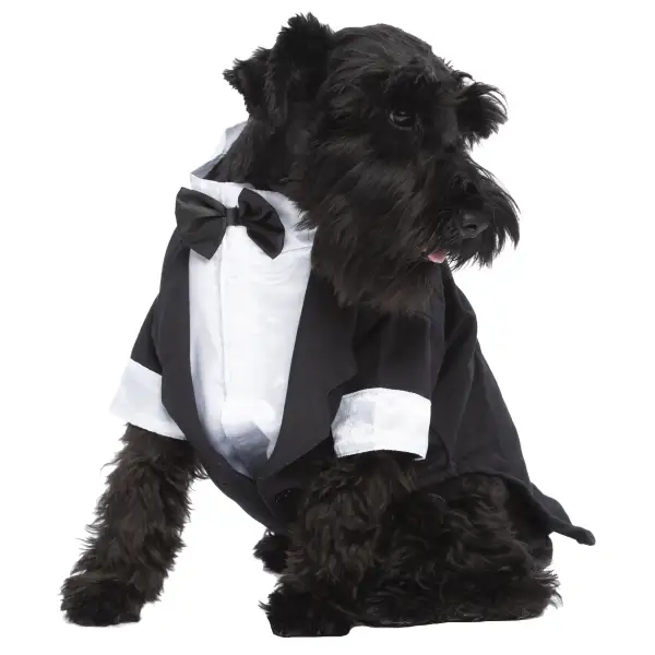 Bow Tie Square Versatile Compact Dog Shirt
