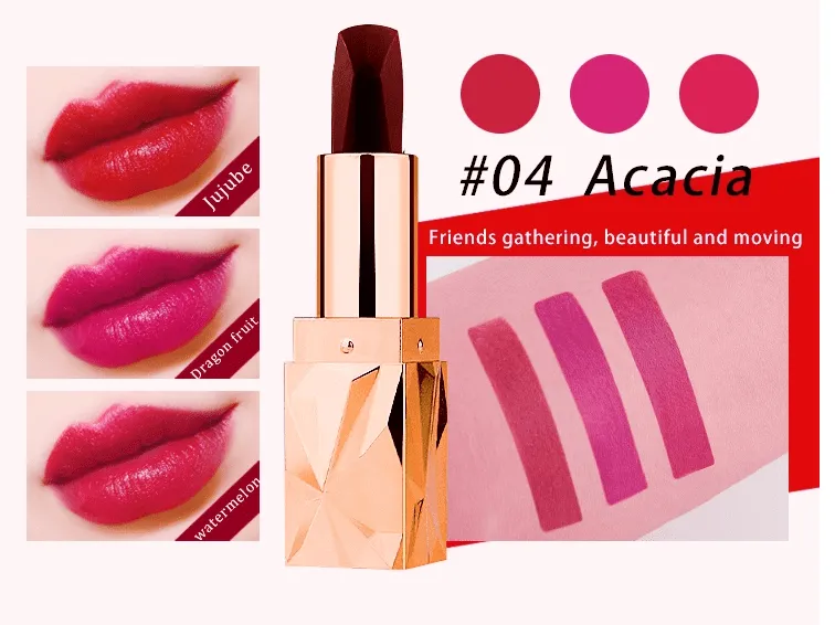Practical Lip Stick Set Option X
