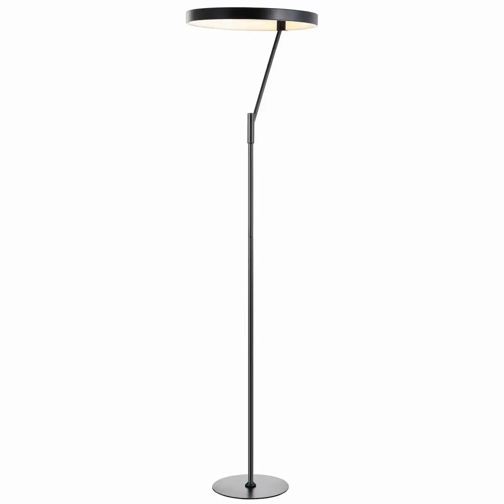 Integrated LED Metal Floor Lamp