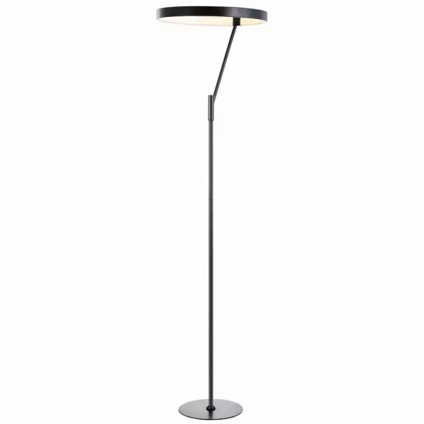 Integrated LED Metal Floor Lamp