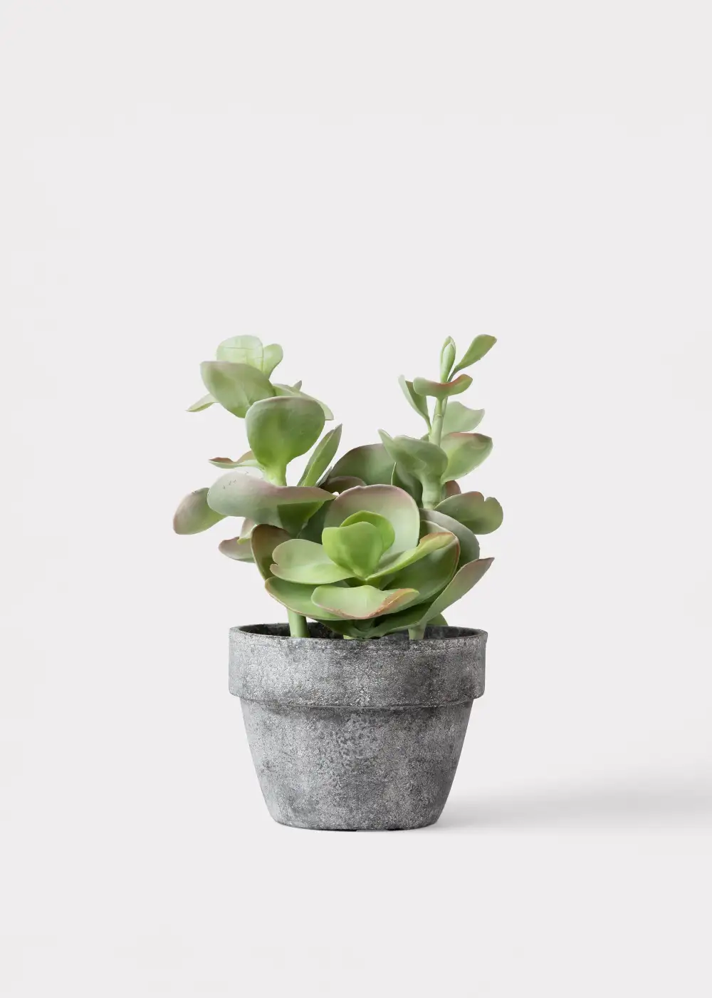 Artificial Succulent Potted Plant
