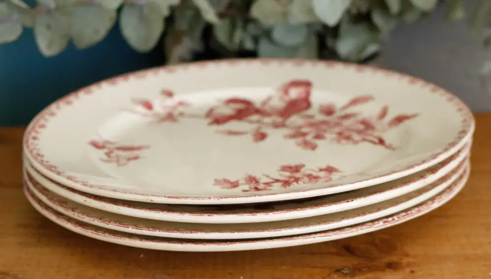 Collected Transferware Dinner Plate