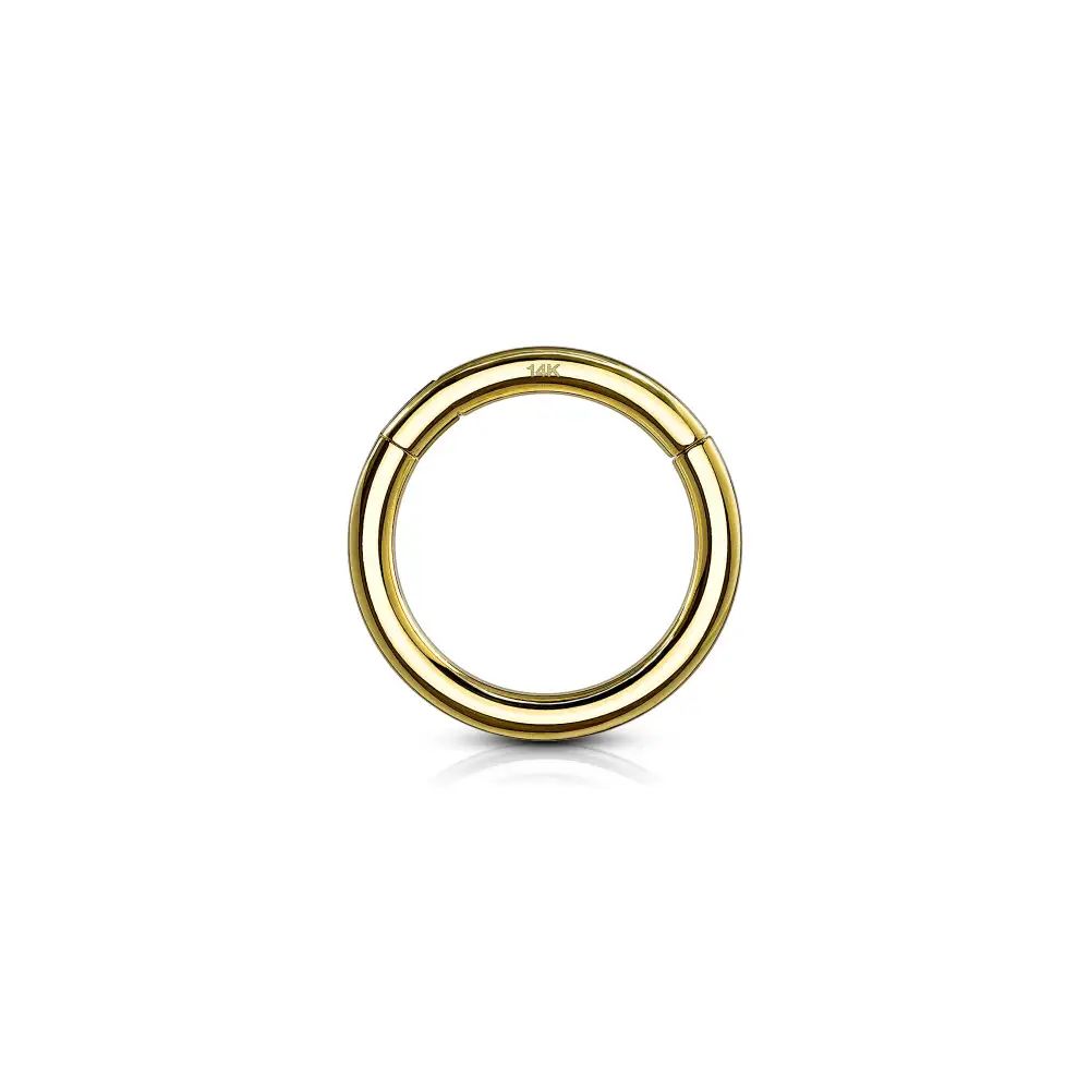 Hinged Seamless Nose Hoop