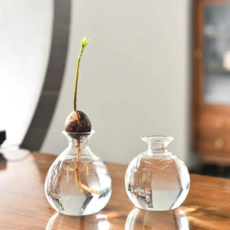 Glass Decorative Table Vase