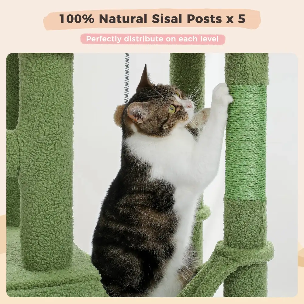 Comfortable Cat Climbing Tree For Cat