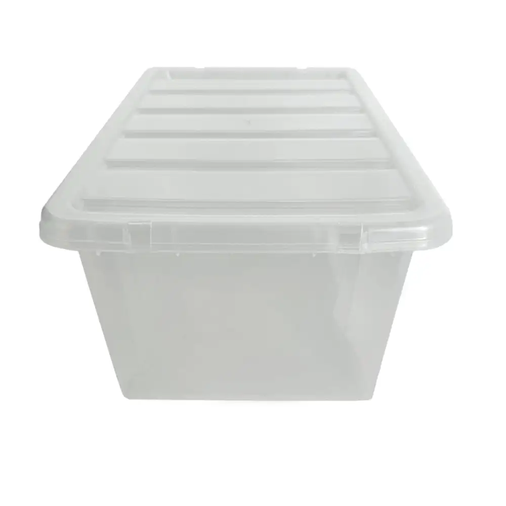 Everyday Clear Lid Storage Box