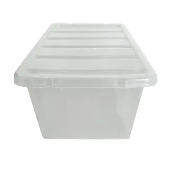 Everyday Clear Lid Storage Box