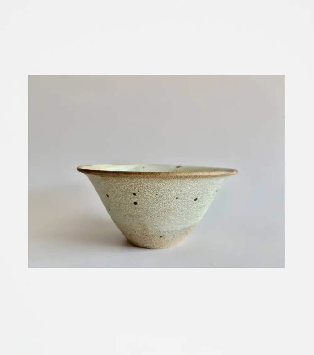 Glazed  Noodle Bowl
