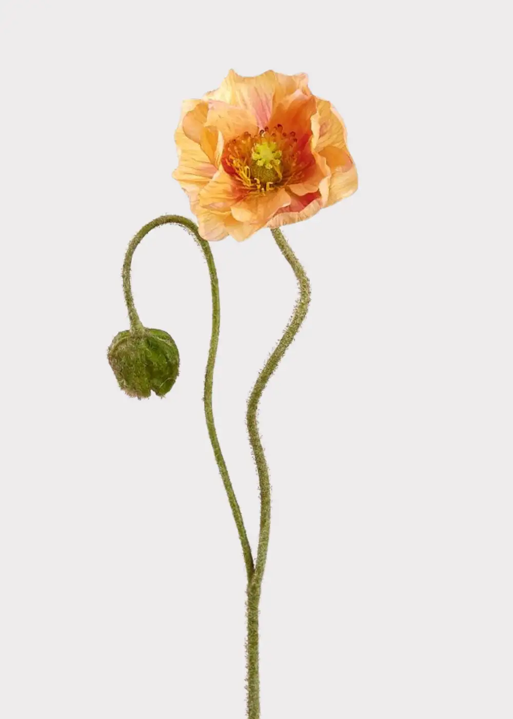 Artificial Floral Poppy Stem