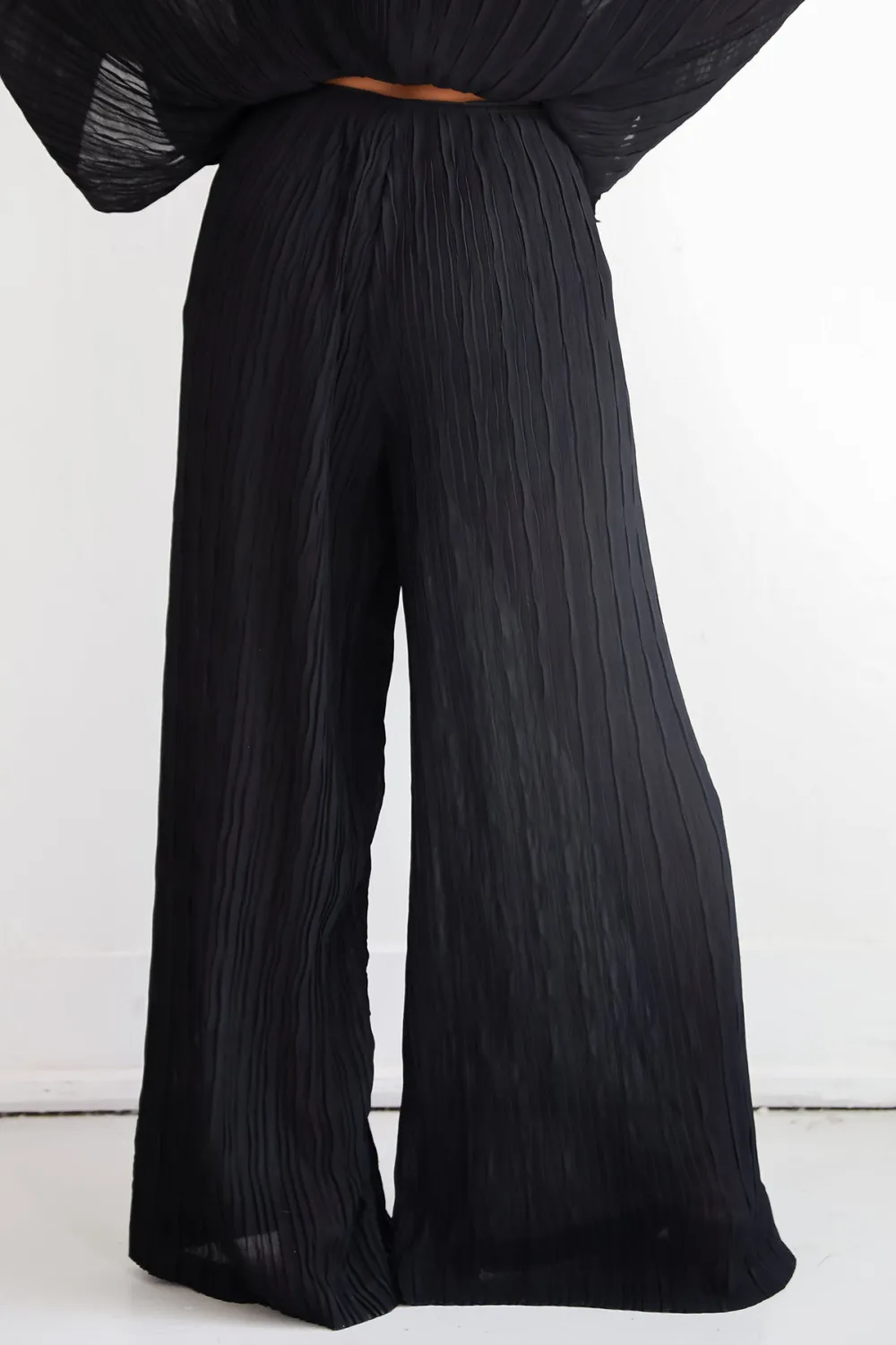 Black Pleated Wide Leg Pants