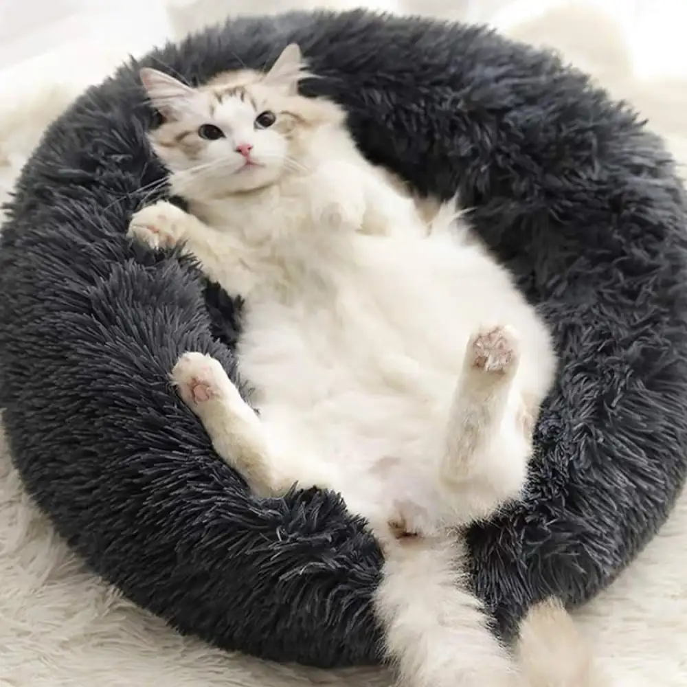 Plush Donut Cuddler Pet Bed
