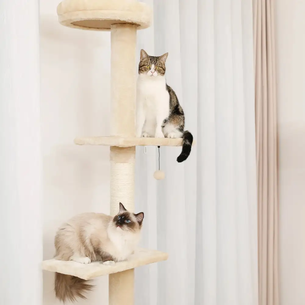 Multi Level Cat Playground