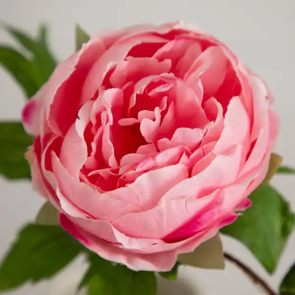 Artificial Peony Flower Stems