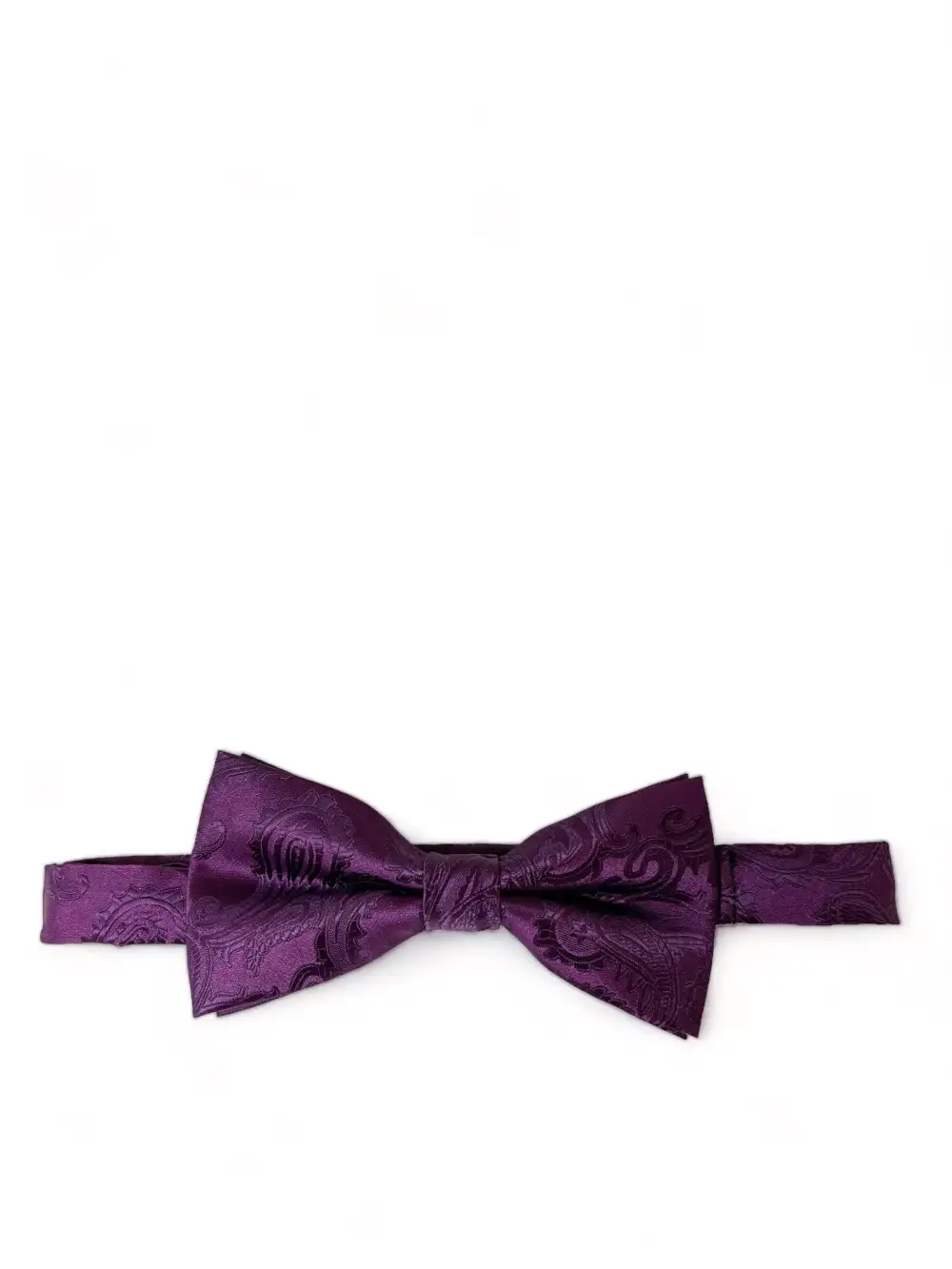 Contemporary Paisley Polyester Bow Tie