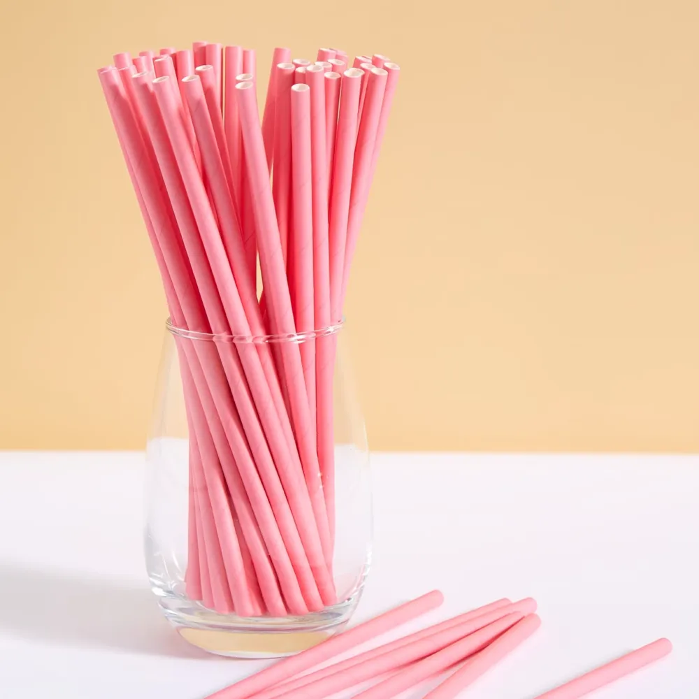 Disposable Paper Straws