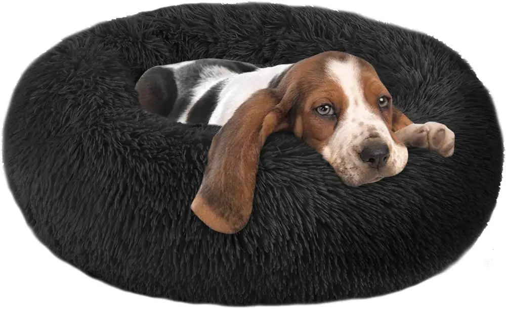 Raised Rim Donut Pet Bed